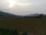少林景色