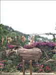 自然风景