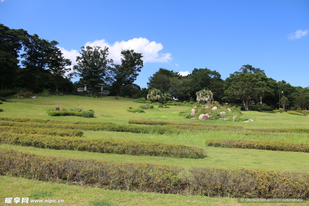 公园美景