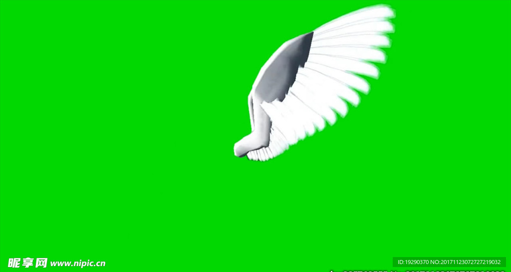 翅膀绿屏抠像视频素材