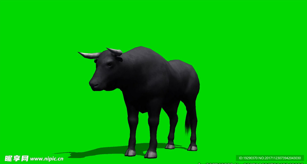 牛绿屏抠像视频素材