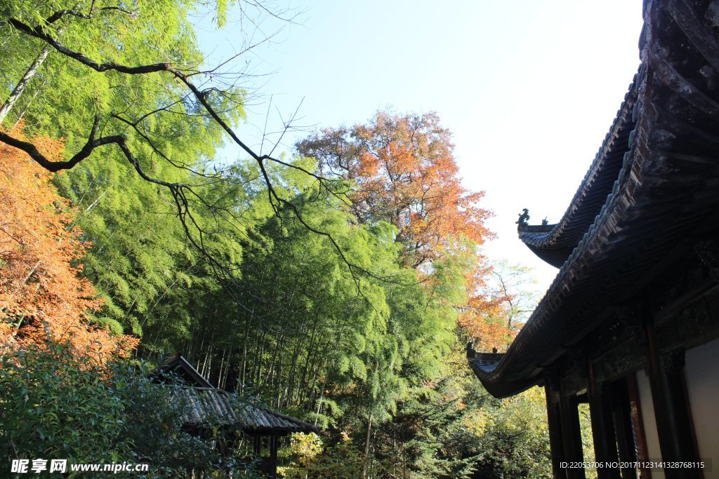 寺庙竹林
