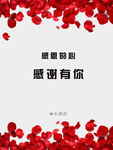 感恩节