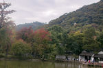 天平山红枫