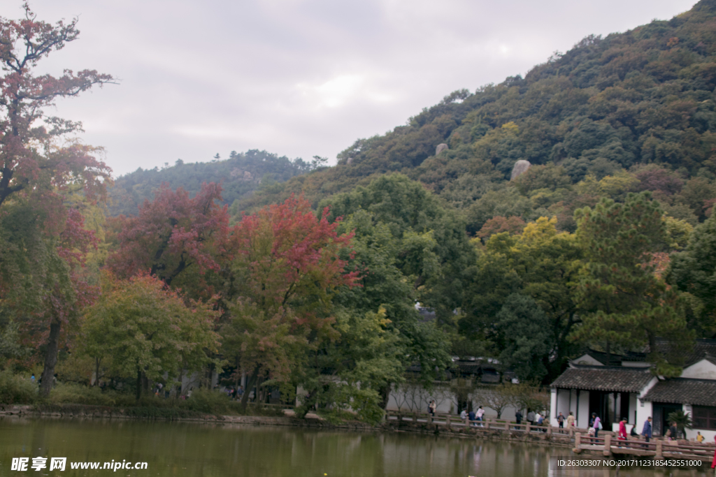 天平山红枫