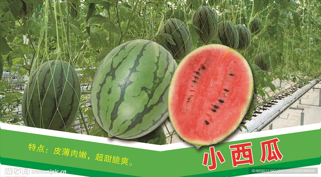 小西瓜