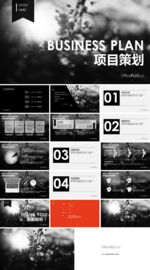 项目策划ppt