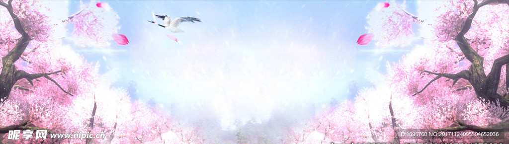 banner背景