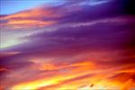 高清夕阳黄昏图