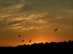 高清夕阳黄昏图