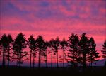 高清夕阳黄昏图