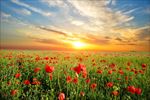 高清夕阳黄昏图