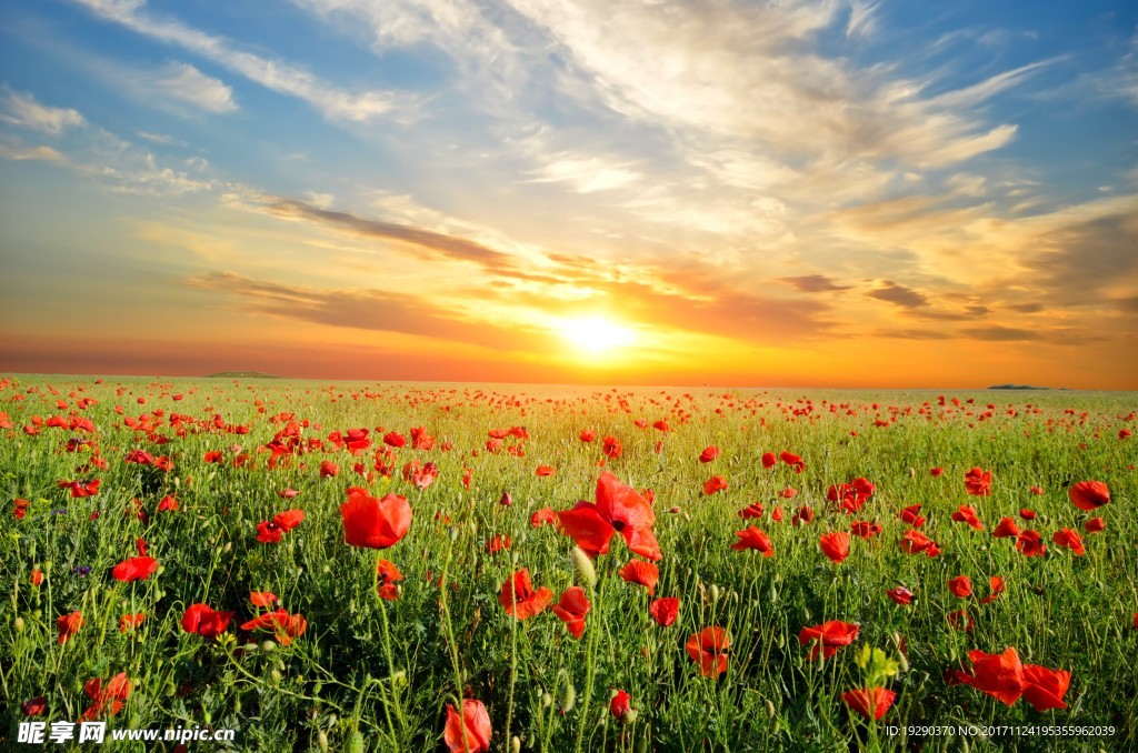 高清夕阳黄昏图