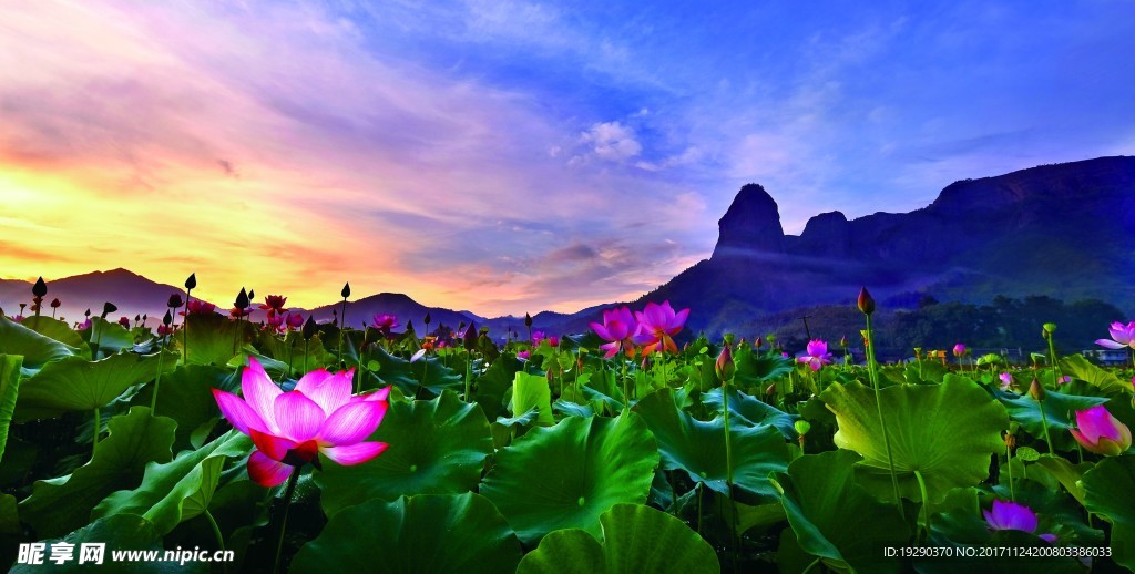 高清夕阳黄昏图
