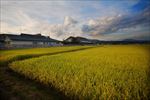 高清夕阳黄昏图