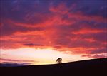 高清夕阳黄昏图
