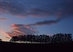 高清夕阳黄昏图