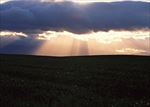 高清夕阳黄昏图