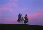 高清夕阳黄昏图