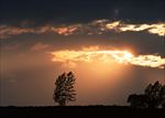 高清夕阳黄昏图