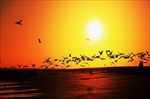 高清夕阳黄昏图