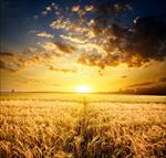 高清夕阳黄昏图