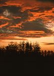 高清夕阳黄昏图