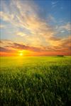 高清夕阳黄昏图