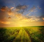 高清夕阳黄昏图