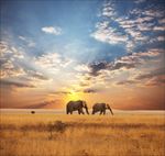 高清夕阳黄昏图