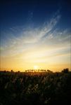 高清夕阳黄昏图