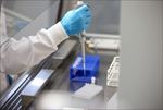 科学研究