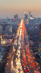城市