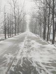 冬季雪路
