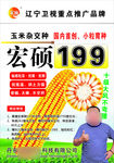 种子海报