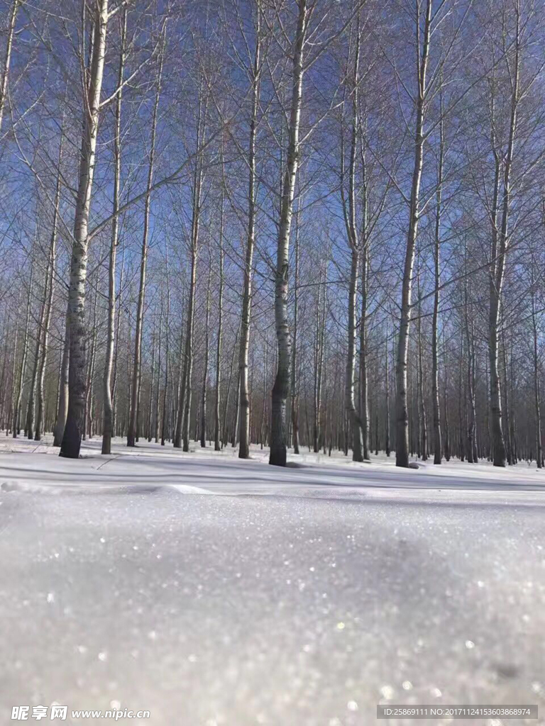 雪景