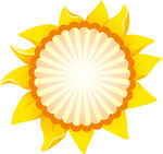 太阳花