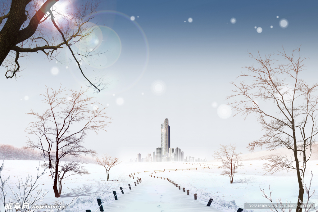 雪地