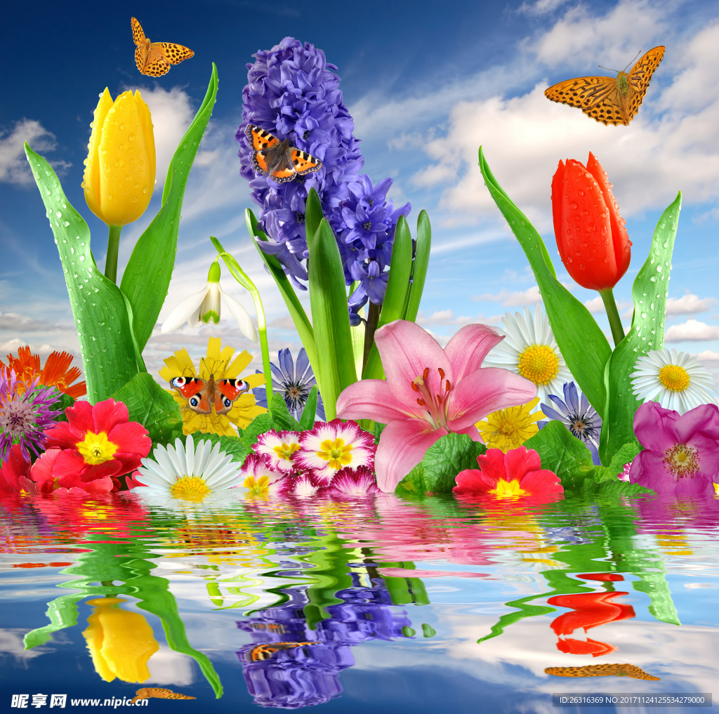 花卉系列