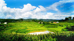 山水田园