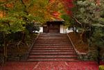 日本京都市公园秋季楼梯