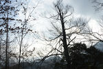 光雾山风景