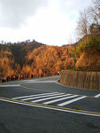光雾山风景