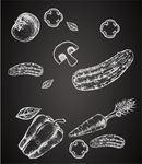 蔬菜铅笔画矢量图