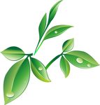 树枝绿叶矢量图