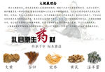 中药材大健康理念