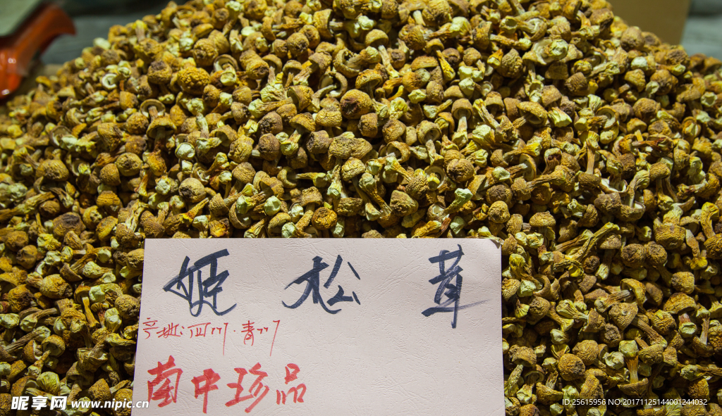 松茸