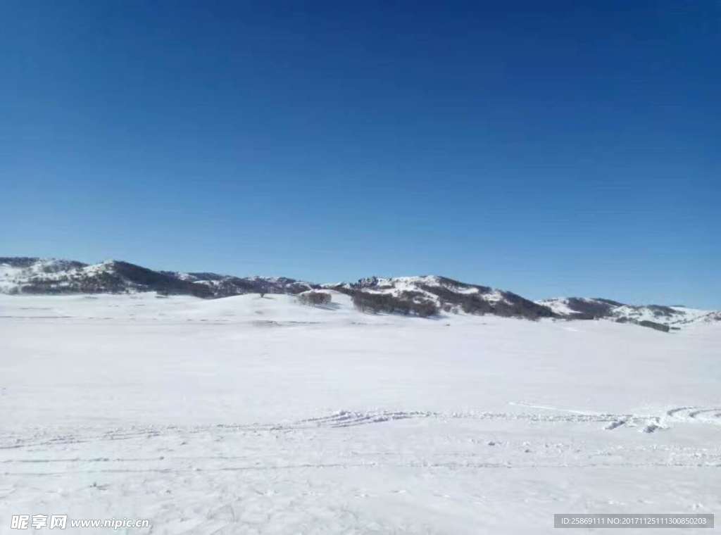 雪地