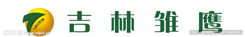 雏鹰集团LOGO