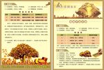 理财产品宣传单